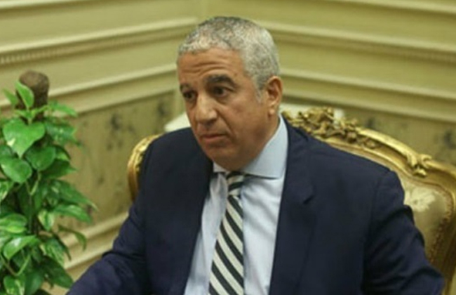 رئيس خارجية النواب: العملية العسكرية بالنصيرات حلقة مفزعة من جرائم الحرب الإسرائيلية

