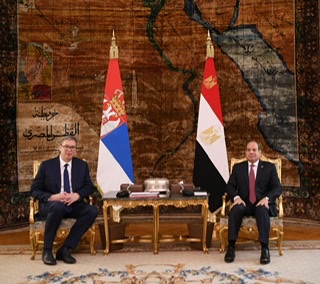 السيسي يبحث مع رئيس وكالة الاستخبارات الأمريكية مستجدات الوضع في غزة