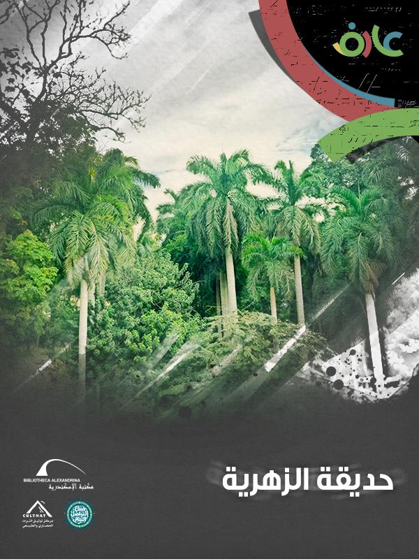 فيلم وثائقي عن 