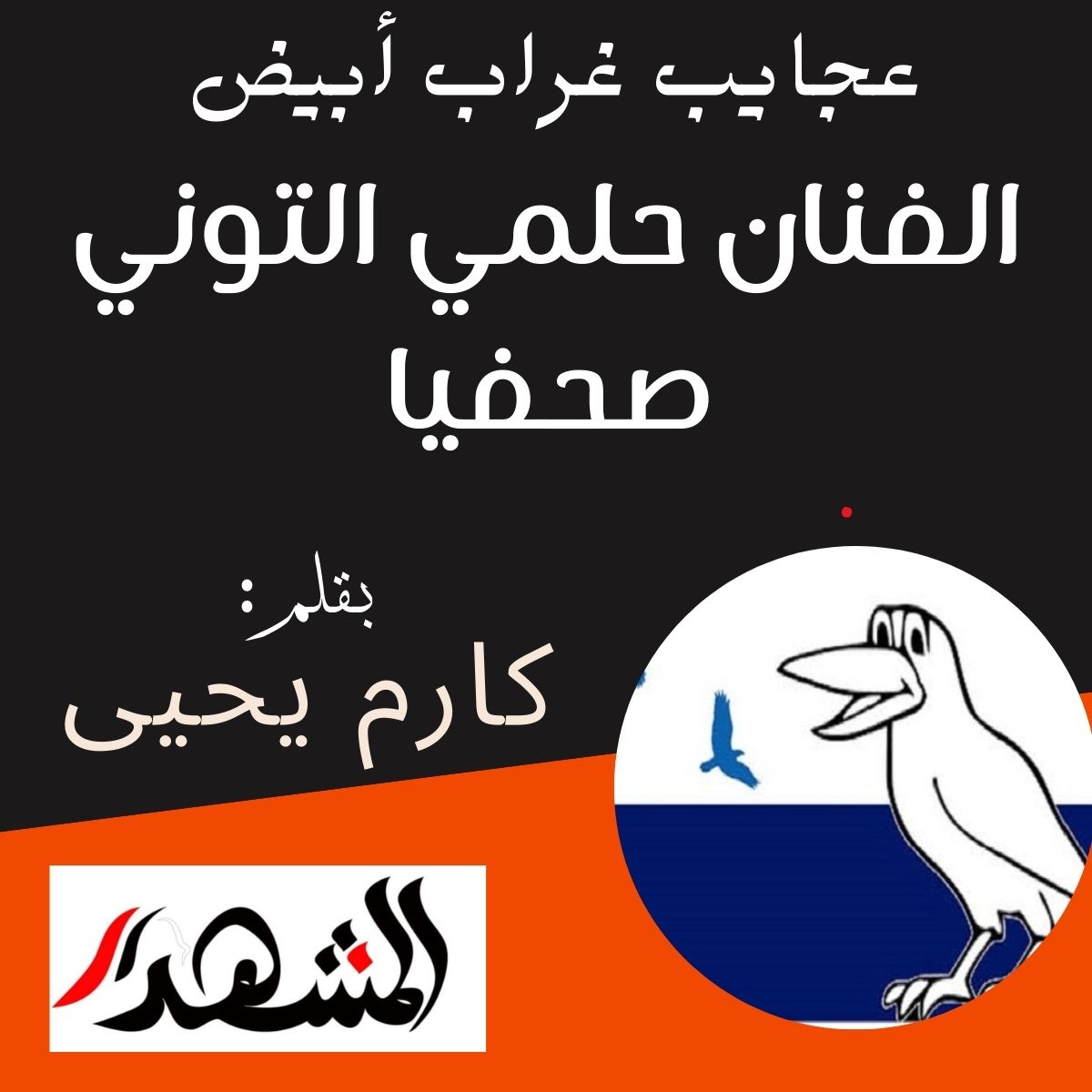 عجايب غراب أبيض | الفنان حلمي التوني صحفيا