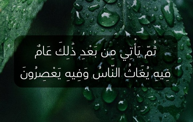 دقيقة لُغوية يكتبها عزت سلامة العاصي: (24) «السنة والعام»

