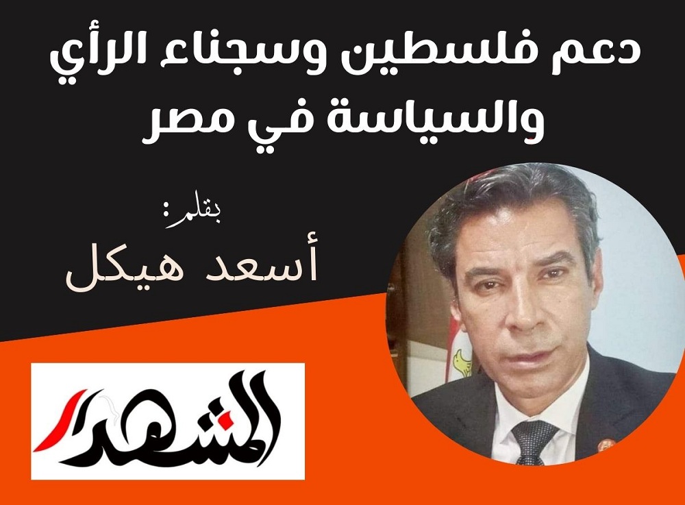 دعم فلسطين وسجناء الرأي والسياسة في مصر