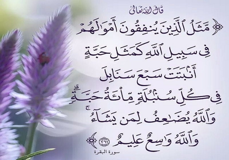 دقيقة لُغوية يكتبها عزت سلامة العاصي: (38) ما بعد الـ«100» ومضاعفاتها

