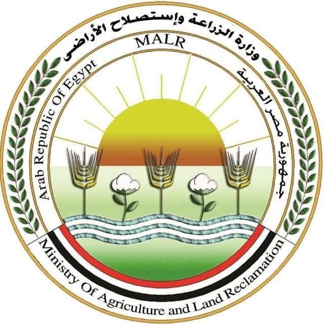 مصر  تستضيف منتدى الأرز الأفريقي.. الثلاثاء المقبل