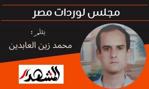 مجلس لوردات مصر