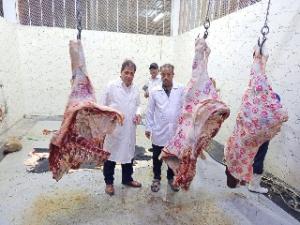 الكشف على اللحوم فى محلات الجزارة والمدن الجامعية بالاقصر 

