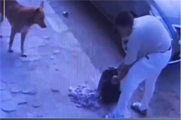 الحبس 6 أشهر لمتهم بتسميم كلاب «حدائق الأهرام»