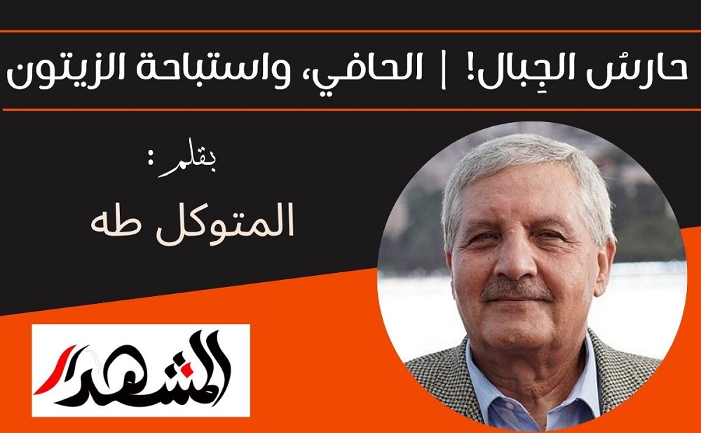 حارسُ الجِبال! | الحافي، واستباحة الزيتون