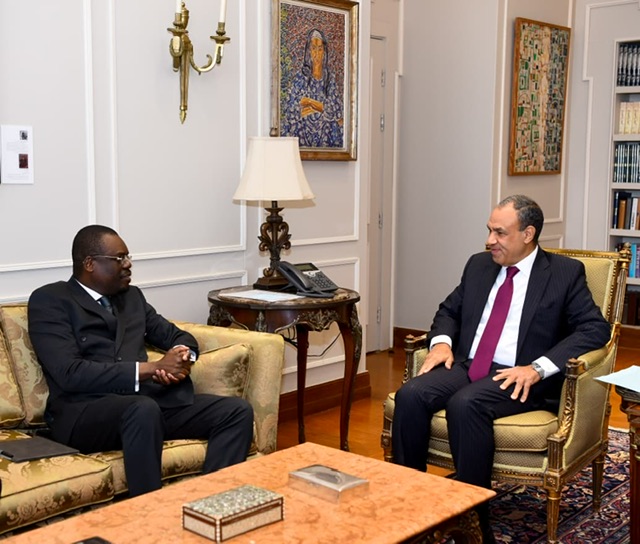 وزير الخارجية يؤكد دعم مصر لتعزيز منظومة الصحة والأمن الدوائي في أفريقيا