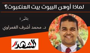 لماذا أوهن البيوت بيت العنكبوت؟