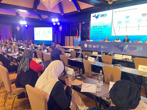 القطاع الخاص يعرض تجربته في تحقيق الاستدامة البيئية والحياد الكربوني