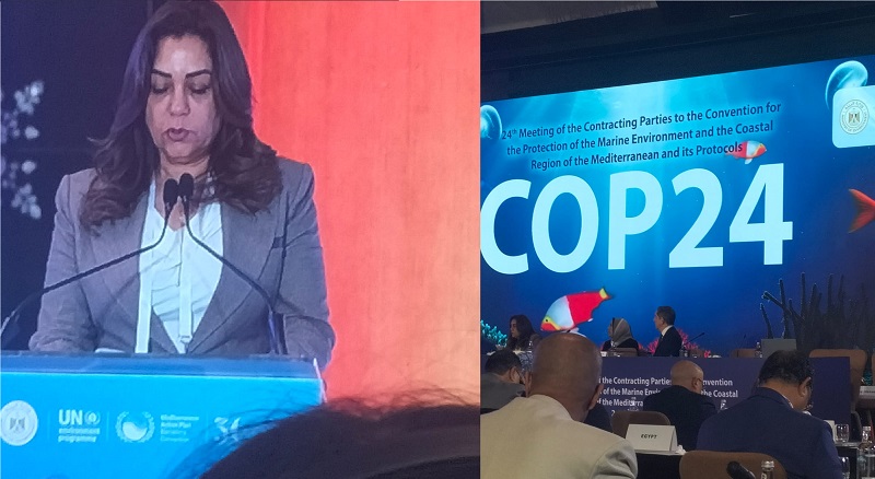 إعلان أول استراتيجية وطنية للاقتصاد الأزرق فى كوب 24 بالقاهرة لحماية بيئة البحر المتوسط