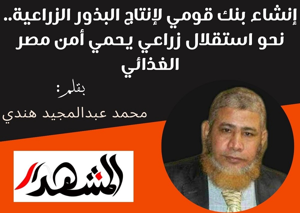 إنشاء بنك قومي لإنتاج البذور الزراعية.. نحو استقلال زراعي يحمي أمن مصر الغذائي