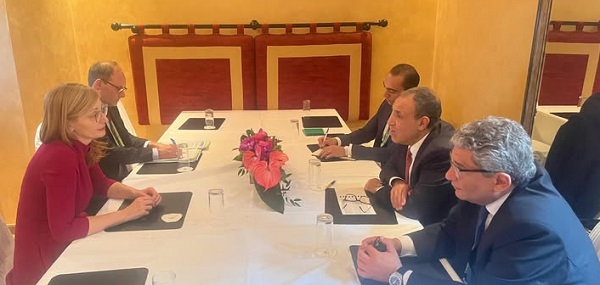 وزير الخارجية: مصر تتطلع لاندماج المؤسسات البحثية المصرية والأوروبية 