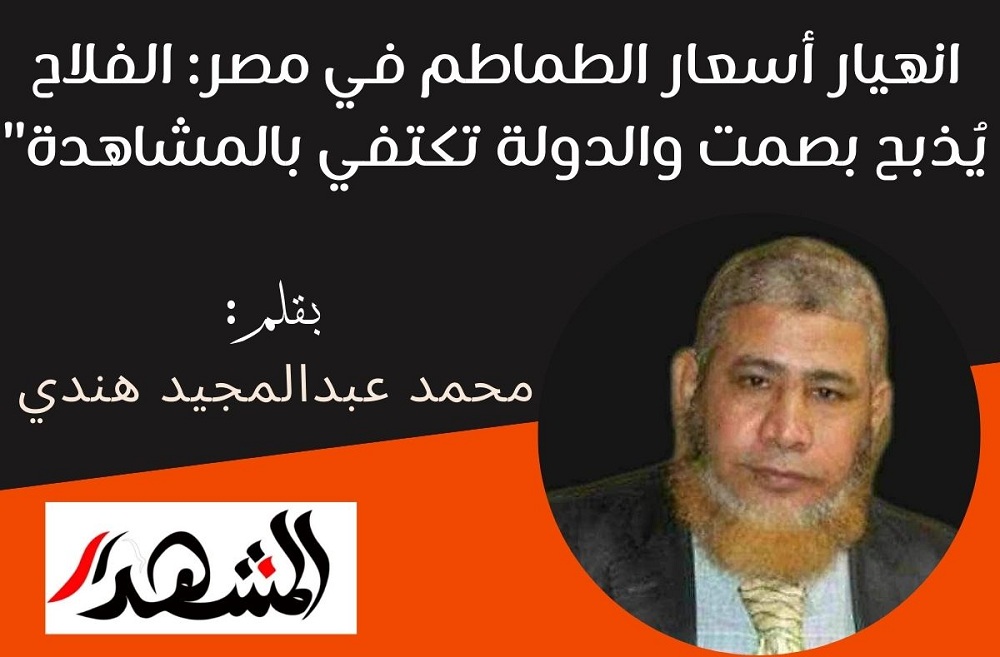 انهيار أسعار الطماطم في مصر: الفلاح يُذبح بصمت والدولة تكتفي بالمشاهدة