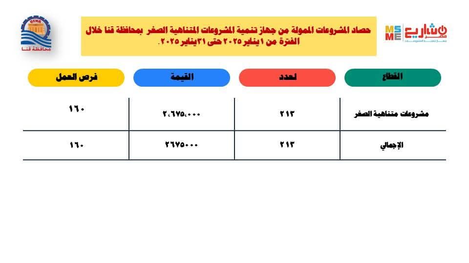 2.6 مليون جنيه لتمويل مشروعات متناهية الصغر خلال يناير الماضي بقنا

