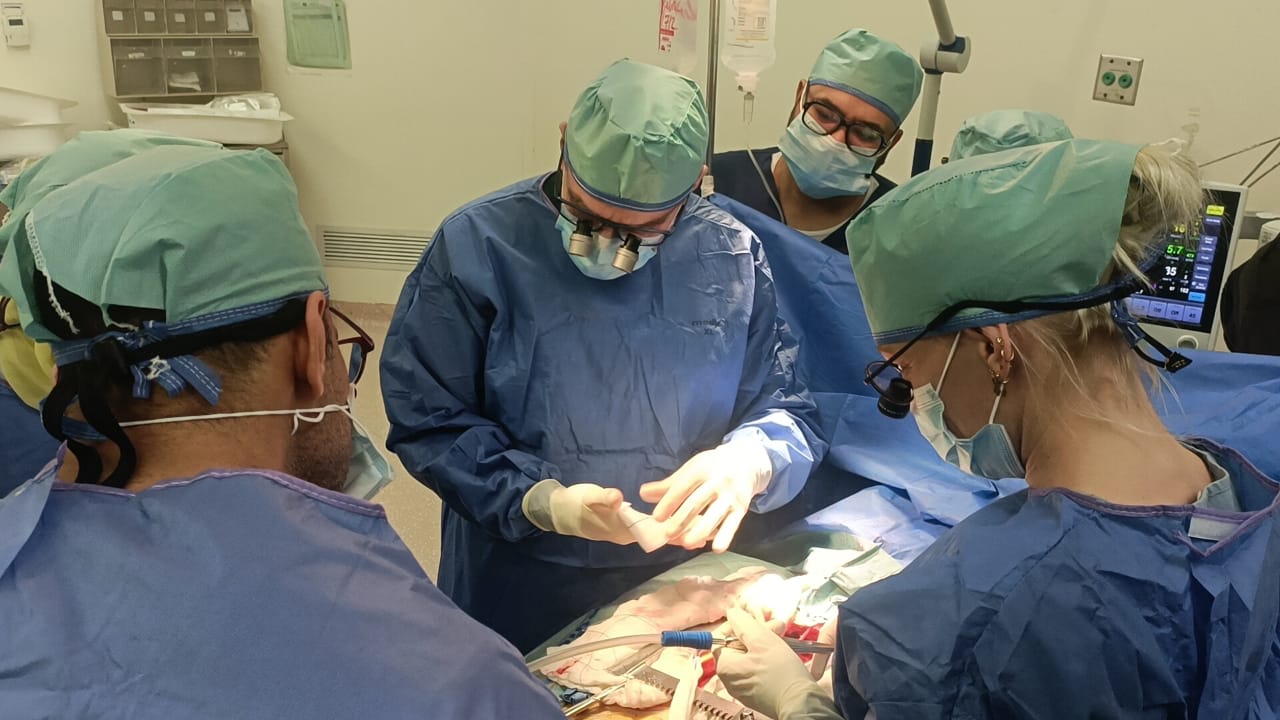 إجراء جراحات قلبية دقيقة «مجانا» بالتعاون مع وفد جمعية الصداقة الهولندية بمستشفى الشيخ زايد التخصصي 