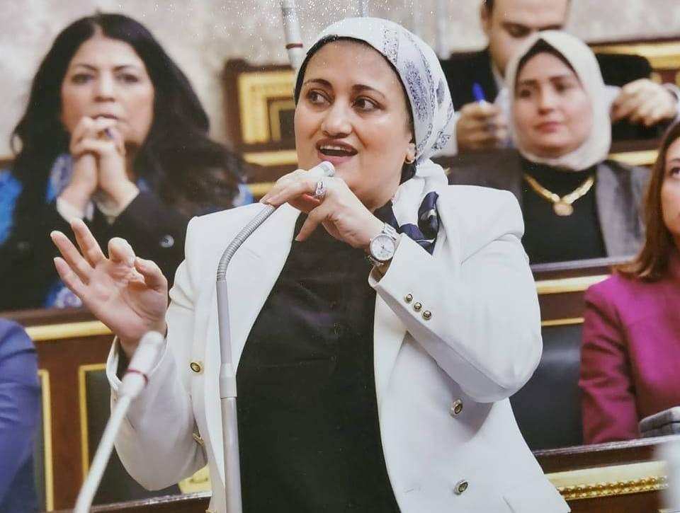 سناء السعيد تتقدم بطلب إحاطة ضد زيادة الرسوم القضائية