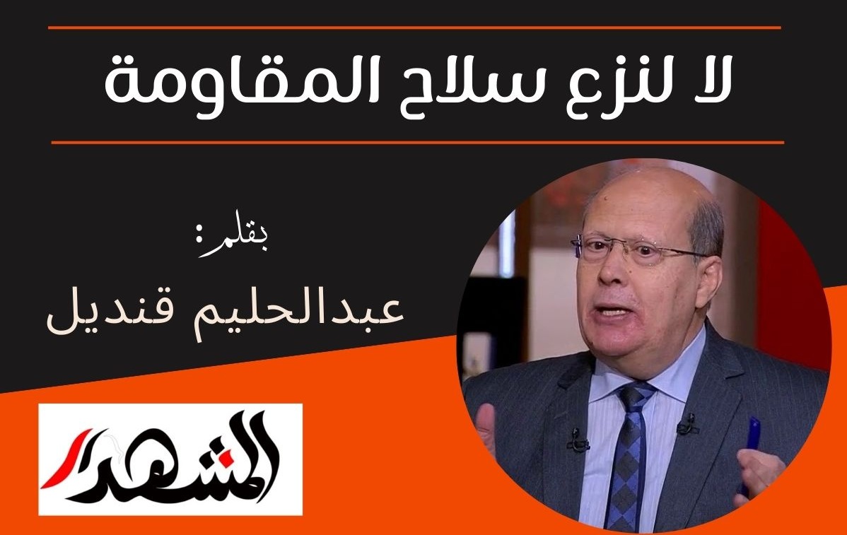 لا لنزع سلاح المقاومة  

