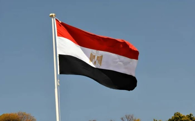 مصر تؤكد أهمية الحلول السياسية للأزمات الدولية