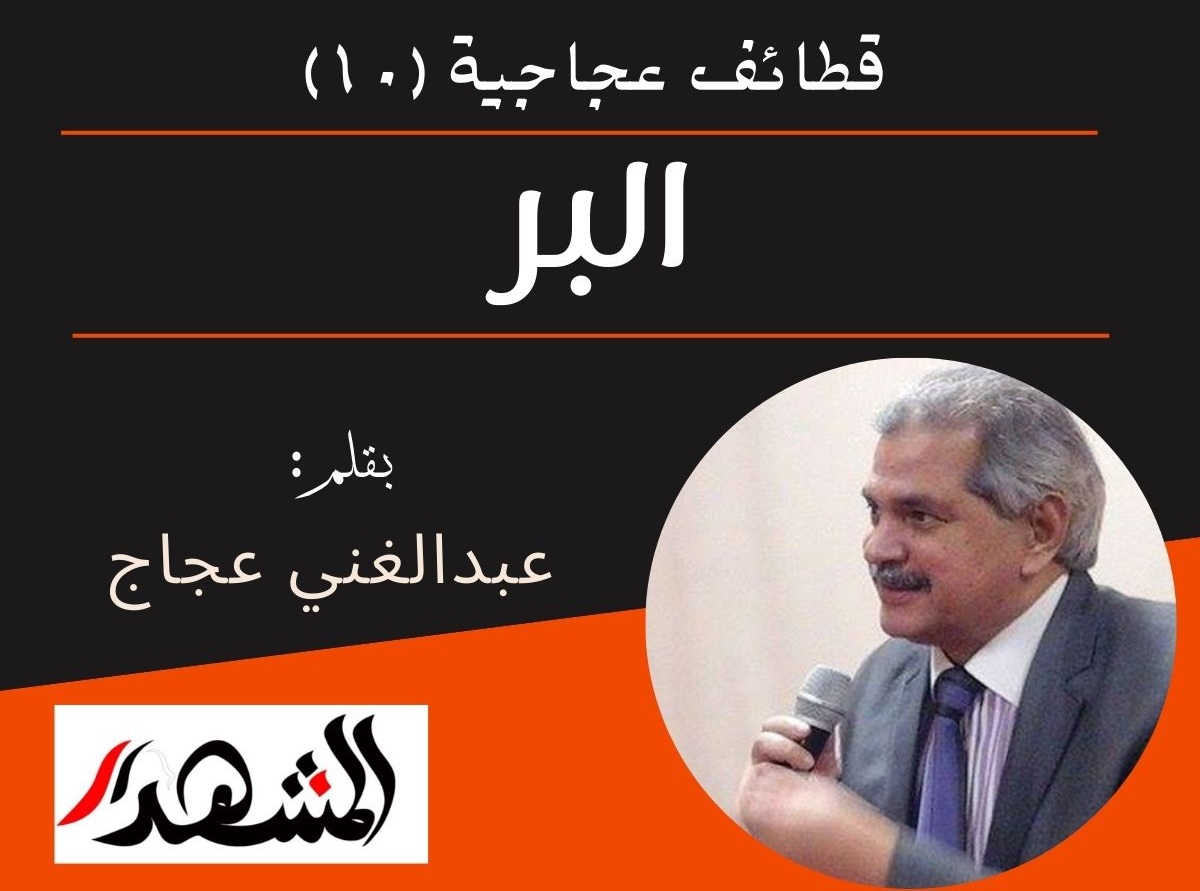 قطائف عجاجية (١٠) | البر