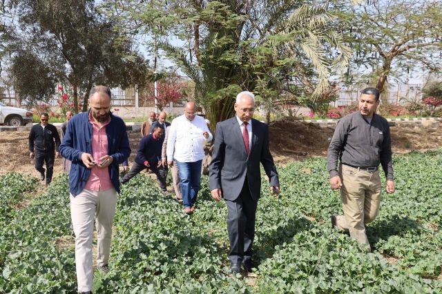 رئيس جامعة المنيا يتفقد المنتجات والمحاصيل الزراعية  بمشروع الصوب الزراعية بالجامعة