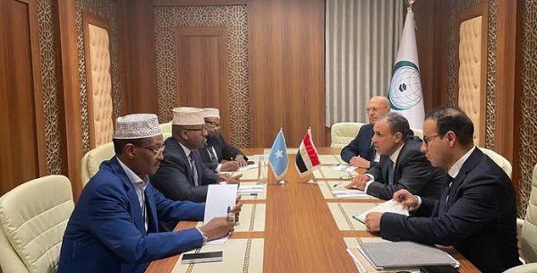 مصر تؤكد دعمها لاستقرار الصومال وتعزيز التعاون الثنائي في مختلف المجالات







