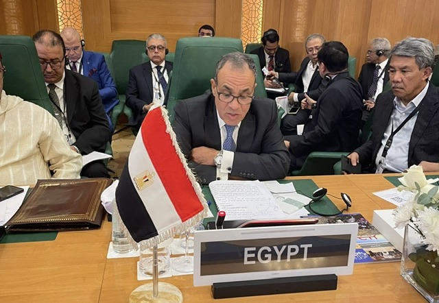 وزير الخارجية يؤكد دعم مصر الكامل للقضية الفلسطينية  خلال اجتماع التعاون الإسلامي بجدة