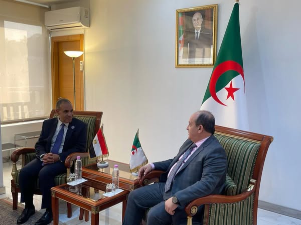 وزير الخارجية يبحث في الجزائر تعزيز التعاون الصناعي والدوائي والاستعداد للجنة العليا المشتركة





