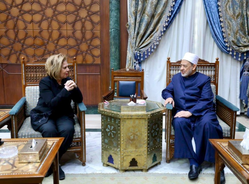 الطيب يؤكد جاهزية الأزهر للعمل المشترك مع «القومي لحقوق الإنسان» في خدمة قضايا الإنسان وحقوقه