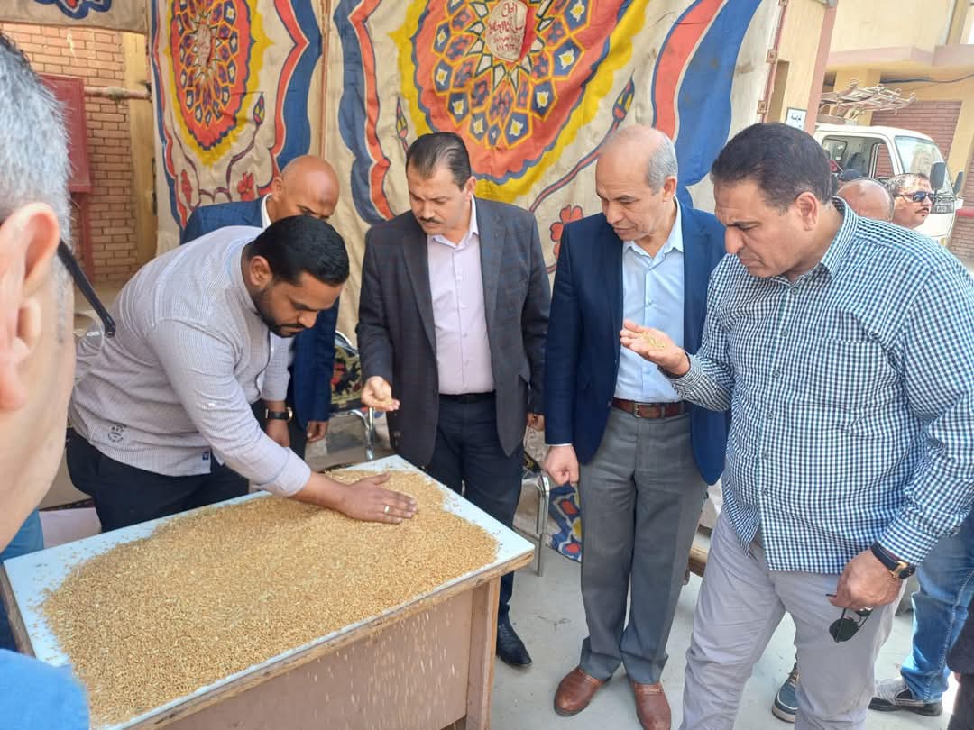 وزارة التموين تعلن بدء موسم توريد القمح

