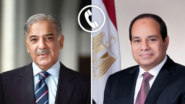 السيسي وشهباز شريف يبحثان وقف إطلاق النار بين الهند وباكستان ويؤكدان دعم خطة إعمار غزة والتعاون الثنائي