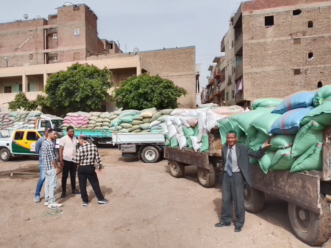 توريد 390 ألف طن من القمح بصوامع محافظة المنيا منذ بدء موسم 2025