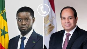 الرئيس السيسي ونظيره السنغالي يبحثان تعزيز الشراكة ومواجهة تحديات الساحل