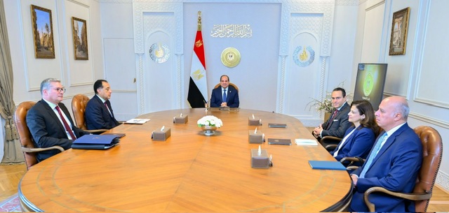 السيسي يلتقي الرئيس التنفيذي لـشركة 