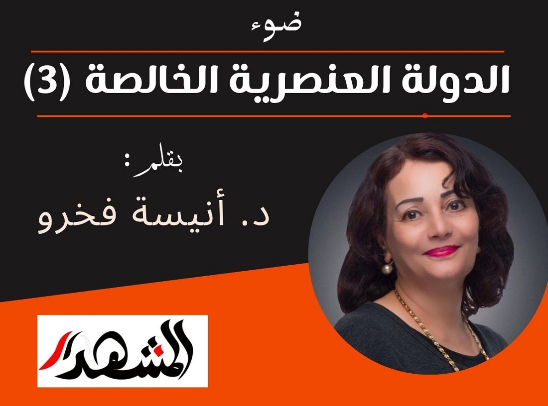 ضوء | الدولة العنصرية الخالصة (3)