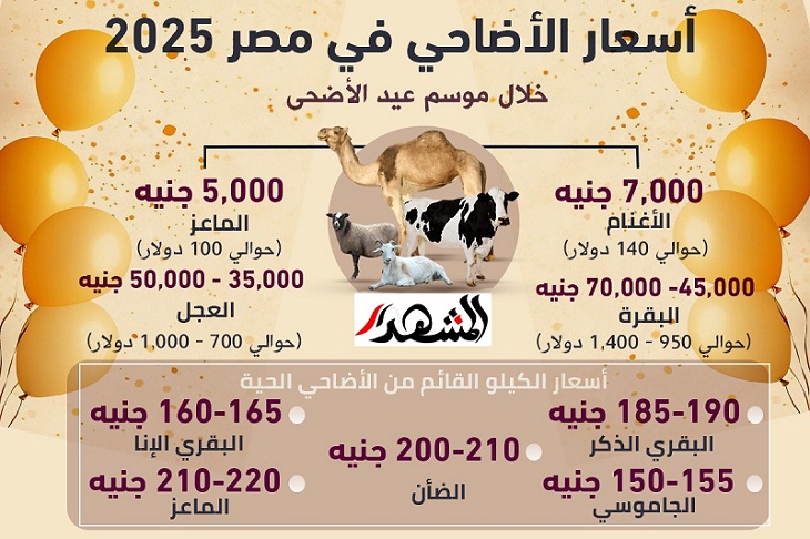 أسعار الأضاحي هذا العام (انفوجراف)