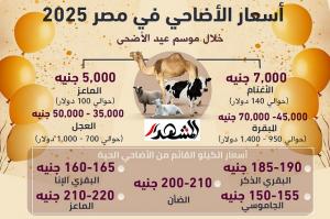 أسعار الأضاحي هذا العام (انفوجراف)