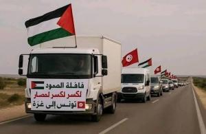 مصر تضع خطوطًا حمراء: أي زيارات للعريش أو رفح لا تتم إلا بموافقات مسبقة من الدولة المصرية