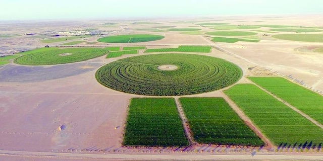 اتساع رقعة القطاع الزراعي وتوسع أنماط الزراعة الذكية في سلطنة عمان