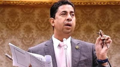 نائب يطالب بمراجعة قرار إيفاد وفد عمال مصر إلى مؤتمر العمل الدولي بجنيف وسط مخاوف من مشاركة شخصية قيد التحقيق



