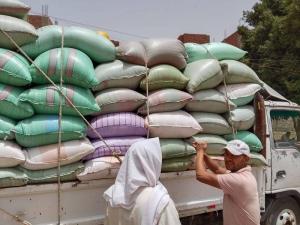 توريد 509 آلف طن منذ بدء موسم 2025 بالمنيا