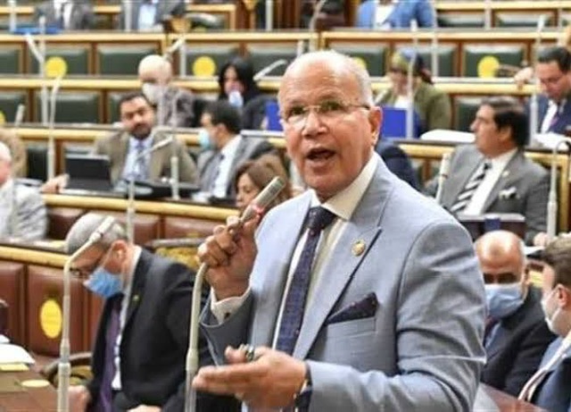 برلماني: استقرار الشرق الأوسط  يبدأ من غزة.. ومواقف مصر قوية وراسخة