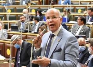 برلماني: استقرار الشرق الأوسط  يبدأ من غزة.. ومواقف مصر قوية وراسخة