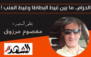 الحرام.. ما بين غيط البطاطا وغيط العنب !