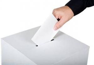 انتخابات الشيوخ على صفيح ساخن  وصراع  قبلى وغياب حزبى على 