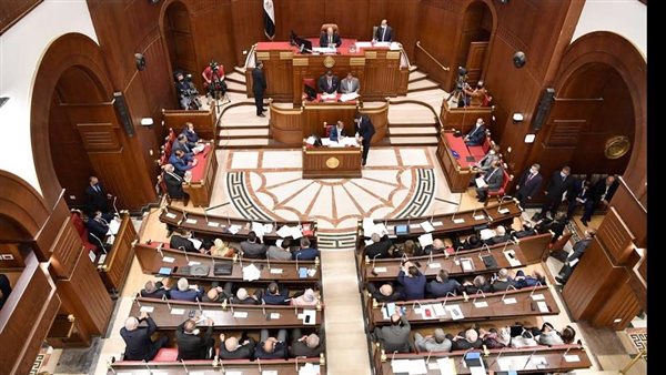 انتخابات مجلس الشيوخ: تخصيص يومي 4 و5 أغسطس لتصويت المصريين بالداخل

