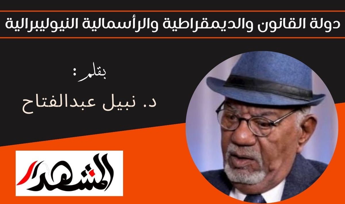 دولة القانون والديمقراطية، والرأسمالية النيوليبرالية

