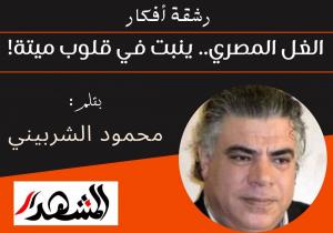 رشقة أفكار | الغل المصري.. ينبت في قلوب ميتة!