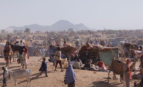 29 جهة مانحة تطالب بوقف إنساني عاجل في الفاشر وتدين انتهاكات المليشيات بحق المدنيين في دارفور وكردفان